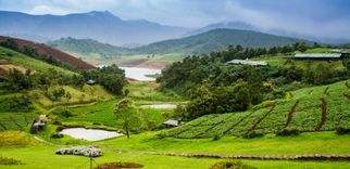A road trip to Ooty from Bangalore: The best memorable tour package