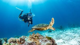 Andaman Islands: The Ultimate Destination for Nature Lovers