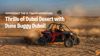 What is a Dune Buggy Dubai Adventure?