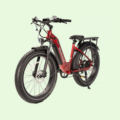 Custom Options Available for Step Thru E Bikes: From Frame Adjustments to Software Tuning