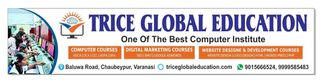 Your Pathway to Success Starts at Trice Global Education - Digital Marketing