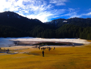 A Perfect Escape: Dharamshala Tour Packages You’ll Love