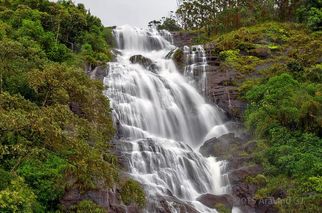 Chinnakanal to Munnar: A Scenic Journey through Kerala’s Hills