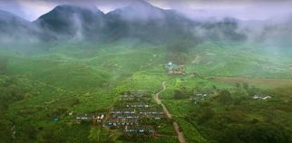 Top 8 Things to Do in Wayanad