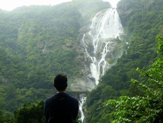 Trekking to Dudhsagar: The Ultimate Bangalore-to-Waterfall Experience