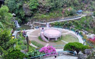 Discover the Serene Beauty of Rock Garden Darjeeling
