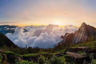 Top Station: The Gateway to Scenic Beauty in Munnar