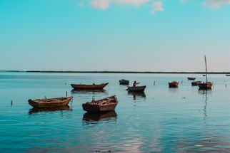 Plan Your Perfect Trip to Chilika Lake