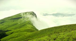 Netravathi Peak: A Trekker’s Dream with Stunning Views and Rich Wildlife