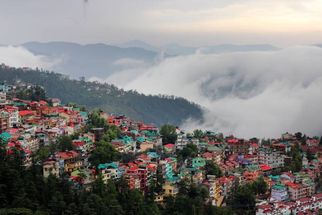 Palampur: The Tea Capital of North India