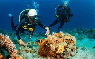 7 Activities to Do in the Maldives for Adventure