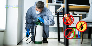 Cockroach Control Services in Gurgaon