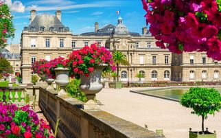 Best Free Activities to Enjoy in Paris