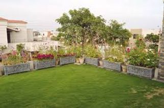 &quot;Rooftop Gardens in Pakistan: A Green Solution for Urban Living&quot;