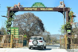 How to Plan Your Wildlife Adventure in Bandipur National Park