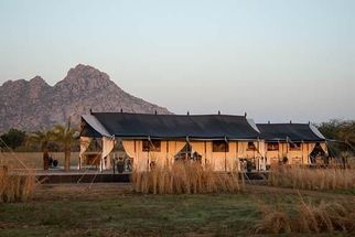Discover the Wild Side: A Guide to Rajasthan&#039;s Leopard Safari Adventures