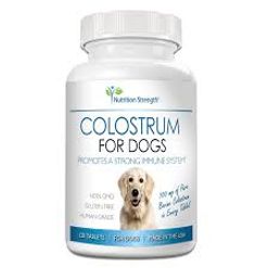 Colostrum Supplement for Dogs: A Natural Boost to Your Pet’s Health