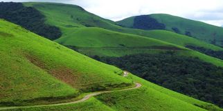 Chikmagalur Escapes: The Perfect Getaway for Bangaloreans