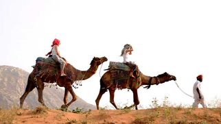 The Ultimate Guide to Pushkar Camel Safaris
