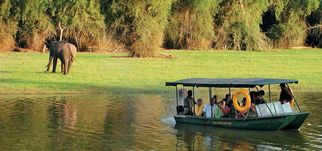 Your Ultimate Guide to Reaching Kabini National Park: Routes and Tips