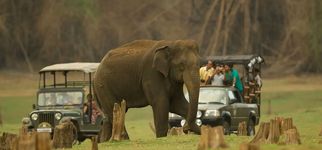 Nagarhole Safari in Karnataka: Discover Leopards, Tiger, and Nature's Best