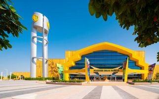 Top Attractions at Warner Bros Abu Dhabi