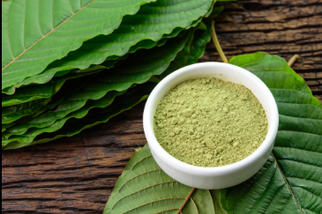 The Kratom Temple: A Sanctuary for Kratom Enthusiasts