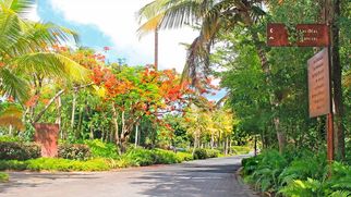 Condo Rentals in Puerto Rico: A Perfect Vacation Getaway