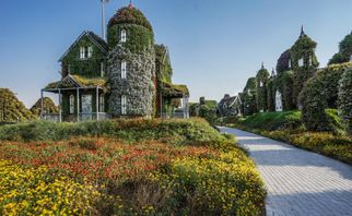 Top Attractions Near Dubai Miracle Garden