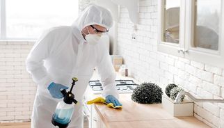Termite Treatment Cost in Brisbane: What to Expect