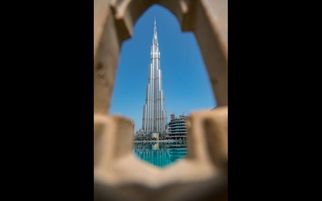 Family-Friendly Abu Dhabi City Tour Packages for Every Traveler