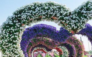 Top 5 Must-See Attractions at Dubai Miracle Garden