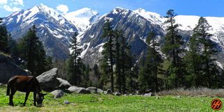 Har ki Dun Trek in Uttarakhand