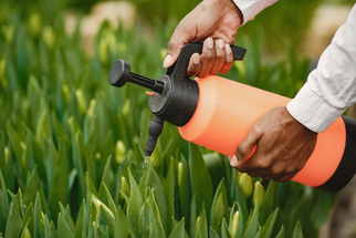 How To Prepare Your Property for Professional Pest Control in Villages