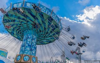 A Thrill-Seeker’s Guide to IMG Worlds of Adventure
