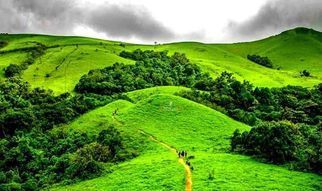 Kodachadri Trek: A Journey Through the Mystical Western Ghats