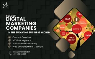 Role of Digital Marketing Companies in the Evolving Business World