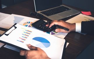 Key Tips for Using Accounting Software in Saudi Arabia