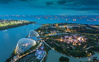 Best Shopping Destinations in Singapore for Every Budget