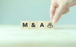 How Vinay Mehra Navigates Media Mergers and Acquisitions Successfully