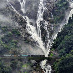 Dudhsagar Trek - A Thrilling Jungle Waterfall Adventure