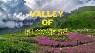Valley of Flowers National Park 2025