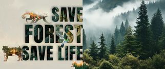 Creating a Safer Tomorrow: Needleleaf Foundation’s Mission for Youth Protection and Forest Conservat