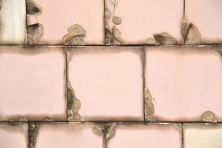 How Americo Migliore Prevents Mold Growth on Tiles