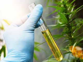 The Art of Achieving the Most Efficient Extraction in Cannabis Oil Production
