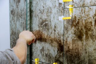 Americo Ricky Migliore’s Guide to Preventing Mold and Mildew in Tile Installations
