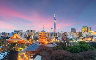 The Ultimate Guide to Japanese Culture and Traditions