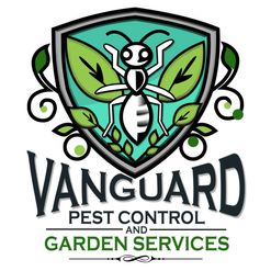 Pest Control Services in Melbourne – Keep Rats &amp; Mice Out for Good
