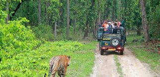 Best Time to Visit Bandipur: Seasons, Wildlife, and Travel Tips