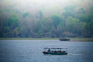 Kabini Safari: A Thrilling Wildlife Adventure